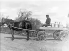 Oskar Floberg, Nygranna gård, Floby omkr. 1912.