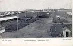 Falköpings Hantverks- och Industriförening. Lantbruksmötet i Falköping 1910.