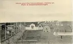 Falköpings Hantverks- och Industriförening. Officiella vykort över Industriutställningen i Falköping 1910. Parti av Industriutställningen.