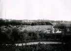 Planteringsförbundets park. Med Svandammen. Fotot taget från åsen norr om svandammen mot gamla staden omkring 1910.