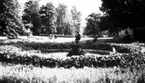 Springbrunnen vid Mössebergs sanatorium.