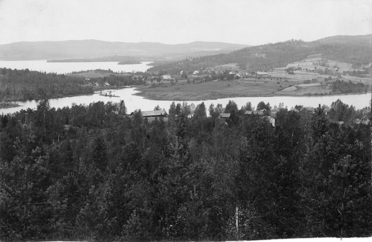 Vy över Ludvika, omkring 1900. Bild från tidskriften Hemmets bildmaterial.
