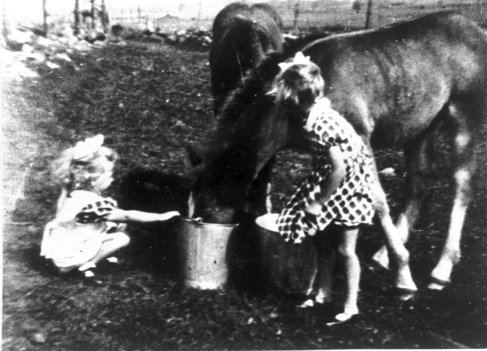 Kerstin och Gunnel Wass i färd att utfodra fölungarna på Ljusås.