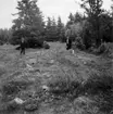 Undersökning av en bebyggelselämning (?) vid Ekesgärdet.