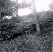 Löväng på Kyrkokvarns marker, kalkstensberg i dagen.