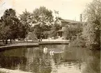 Mössebergsparken, svandammen och badhuset.
