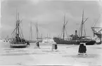 Ystad hamn, 1905. Bild från tidskriften Hemmets bildmaterial.