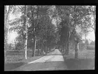 Skioptikonbild från Institutionen för fotografi vid Kungliga Tekniska Högskolan. Använd av professor Helmer Bäckström som föreläsningsmaterial. Bäckström var Sveriges första professor i fotografi vid Kungliga Tekniska Högskolan i Stockholm 1948-1958.
Bildlinjer, landsväg.