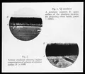 Skioptikonbild från Institutionen för fotografi vid Kungliga Tekniska Högskolan. Använd av professor Helmer Bäckström som föreläsningsmaterial. Bäckström var Sveriges första professor i fotografi vid Kungliga Tekniska Högskolan i Stockholm 1948-1958.
Exempel på två emulsionstyper. Ilfords Q-emulsion samt normal emulsion.
Bäckström, Helmer. Fotografisk Handbok. Andra omarbetade upplagan. Natur och Kultur. Stockholm. 1948. s. 1088.