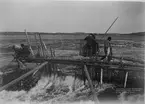 Laxfiske i älven Kemijoki i Taivalkoski i Österbotten, Finnland. Med fotografiet vann fotografen pris i Paris 1892.