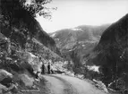 Fjällväg. Motiv från Rundbacken sett upp mot Hunddalen, 1902. Med fotografiet erhöll fotografen 3:e pris i Svenska Tursitföreningens Pristäflan, 1902.