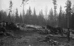 Stubbrytning vid Guldsmedshyttan, Lindesbergs landsförsamling, Västmanland.