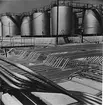 Shells oljeraffinaderi vid 14- juli 1949. Genom en mängd rörledningar transporteras de färdiga produkterna till lagringscisternerna vid Shell Chemical Plant.