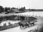 Gustavsbergs Porslinsfabrik. Hästtransport i Gustevsbergs hamn.