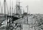 Klagshamns Cementverks Aktiebolag. Hamnen.