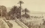 Monte Carlo, Monaco, 1883.