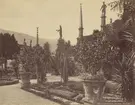 Skulpturparken Giardiono på ön Isola Bella i Lago Margiore, Italien, 1883.