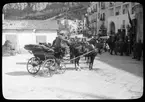 Skioptikonbild från institutionen för fotografi vid Kungliga Tekniska Högskolan. Motiv föreställande häst och vagn, sannolikt i Italien. Bilden är troligen tagen av John Hertzberg under en resa i Europa.