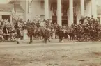 Ur album: Utländska Resan 1900 I. Weisbaden. Blumen barso.