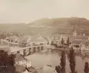 Ur album: Utländska Resan 1900 I. Vy över Stein am Rhein.