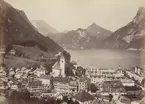 Ur album: Utländska Resan 1900 I. Vy över Salzkammergut.