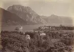 Ur album: Utländska Resan 1900 I. Vy över Salzkammergut.