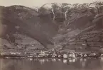 Ur album: Utländska Resan 1900 I. Vy över Zell am see.