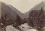 Ur album: Utländska Resan 1900 I. Bilinska bryggan vid Zell am see.