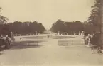 Ur album: Utländska Resan 1890. Parken Jardin des Tulleries vid Louvren, Paris.