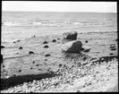 Skioptikonbild från institutionen för fotografi vid Kungliga Tekniska Högskolan. Motiv föreställande en strand, möjligen på Gotland. Bilden är troligen tagen av John Hertzberg under en resa i Sverige.