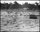 Skioptikonbild från institutionen för fotografi vid Kungliga Tekniska Högskolan. Motiv föreställande kvinna med hund vid strand, möjligen någonstans på Gotland.. Bilden är troligen tagen av John Hertzberg under en resa i Europa.