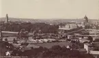 Ur album: Utländska Resan 1890. Brauhausberg, Tyskland.