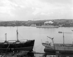 Midt i bildet sees Den Norske Amerikalinjes D/S Stavangerfjo