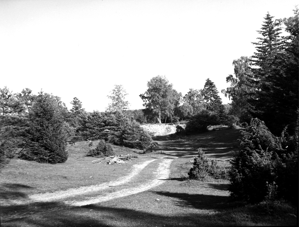 Naturminnen från Sandhem Grimstorp Ekängen.