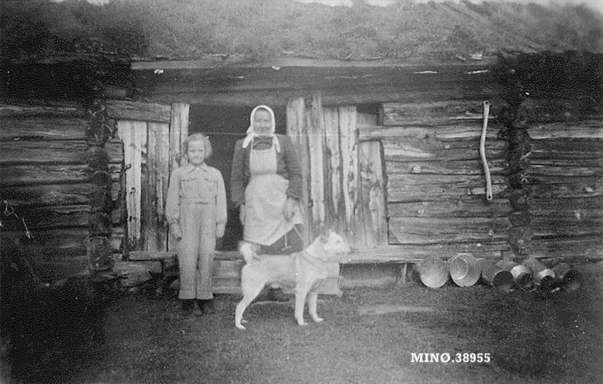 Kvinne og barn på setervoll (Langlivangen)