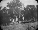 Skioptikonbild med motiv från Paseo Alamedo de Darro, Granada.
Bilden har förvarats i kartong märkt: Höstresan 1910. Granada 2 . Hot. Bosque 9. N:28. Text på bild: 