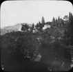 Skioptikonbild med motiv av vy från palatset Alhambra, Granada.
Bilden har förvarats i kartong märkt: Höstresan 1910. Granada 9. N:24. Text på bild: 