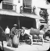 Skioptikonbild med motiv från Granada. Man ifärd med att lasta sin häst.
Bilden har förvarats i kartong märkt: Granada 1910. Granada 9. N:8.