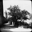 Skioptikonbild med motiv från innanför stadsmuren i Dinkelsbühl, Krugsturm vid Oberer Mauerweg längs västra muren.
Bilden har förvarats i kartong märkt: Höstresan 1911. Dinkelsbühl 9. IV. Text på bild: 