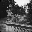 Skioptikonbild med motiv från trädgården, Die Residenz, Würtzburg.
Bilden har förvarats i kartong märkt: Würtzburg 1901. 1.