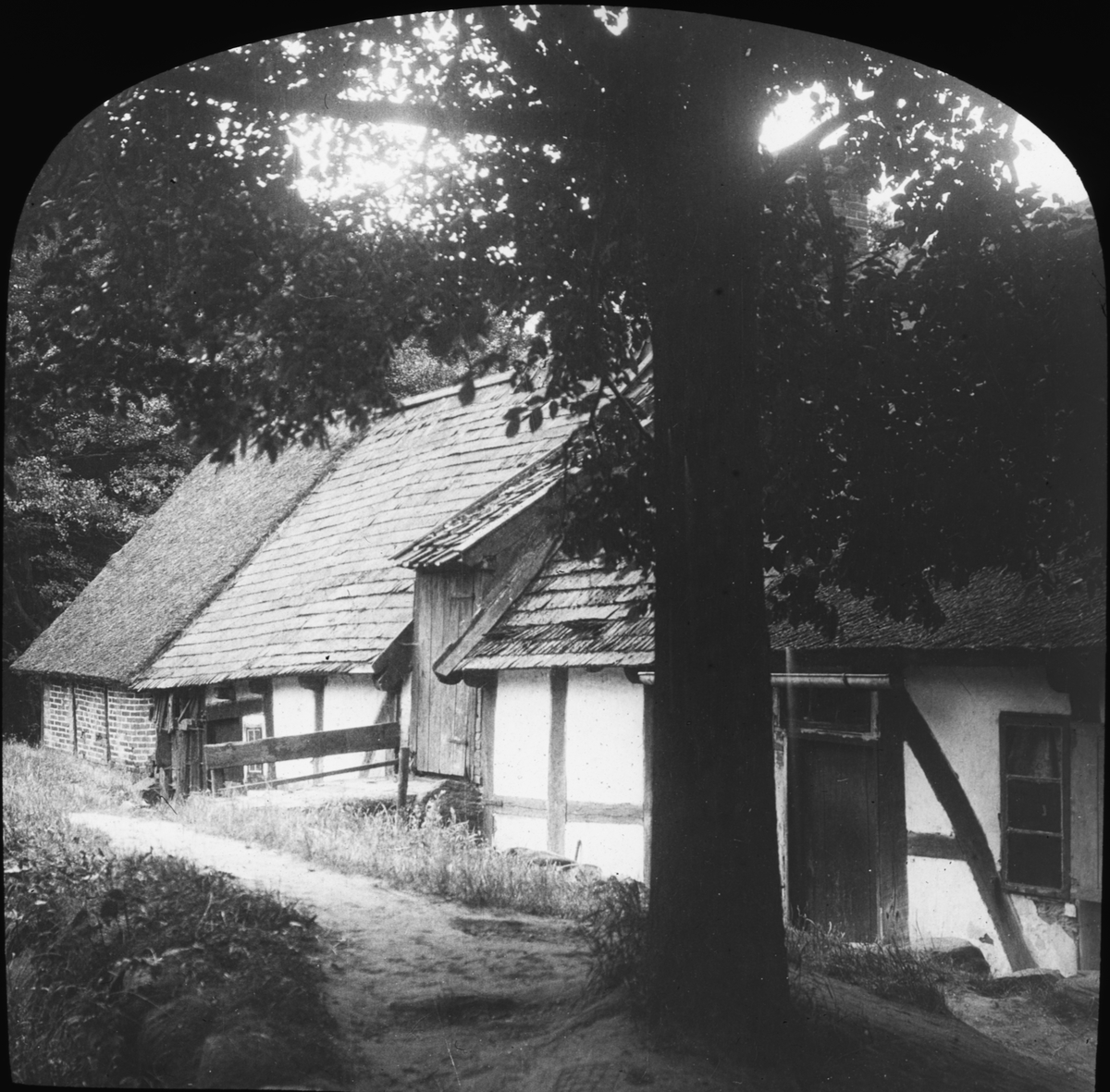 Skioptikonbild med motiv från Pålsjö, utanför Helsingborg.
Bilden har förvarats i kartong märkt: 1908. Helsingborg 3. Kullen 1. Lund 1. Malmö 2. Text på bild: "Pålsjön".