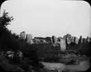 Skioptikonbild med motiv av Menhirer i Carnac.
Bilden har förvarats i kartong märkt: Resan 1908. Carnac 8.