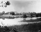 Vy över trädgården. Foto från ca 1912. Foto från sydöst.