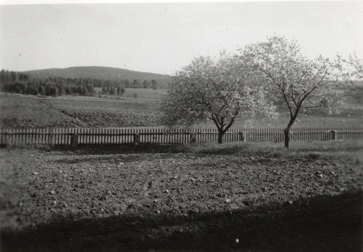 Trakten omkring Flors Linnefabrik, Hälsingland.