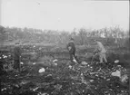 Malmletning syd väst om Loussavaara, september 1918.