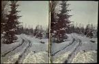 Lumières-stereo-autokrom. Snölandskap.