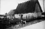 Ljusbild, fotografi från Nordiska arkitekturmötet på Gotland 1920. Par vid väg framför äldre stenhus, gård, med halmtak.