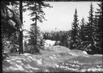 Diapostiv, fönsterbild med motiv från Hedemora. Snötäckt skogsväg med Hedemora kyrka i bakgrunden.