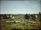 Agfa-autokrom. Paus bland samerna efter renskiljningen. Lappland.