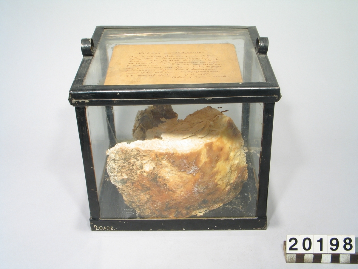 Prov på likvax, i låda av glas, med etikett med beskrivning: "Likvax eller adiopocer", "Profvet erhållet från den gammla kolerakyrkogården å Stadshagen, hvarifrån liken flyttades 1885 då gata den skulle framdragas. Jordmånen var vattensjuk lera och endast de lik som legat under grundvattnet vore förvarade, de övriga förmultnade. Pofvet är å kyrkogården minst 19 år, endast senaste begravningarna ägde rum vid epedemien år 1866. Skänkt af Ingenjör Sandén".  Måtten avser glaskuben.